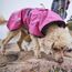 Hurtta Monsoon Coat II ECO 40 Grün Polyester Hund Mantel, 7 image
