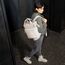 Reisenthel Allrounder Rucksack Beige Polyester, Polyurethan (PU), 3 image