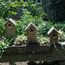 Esschert Design NK05 Vogelhäuschen Hängend / Freistehend, 2 image