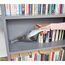 Black & Decker NVC215W-QW Handstaubsauger Blau, Grau Beutellos, 5 image