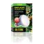Exo Terra PT2132 Reptilien-Heizlampe 75 W 1 Stück(e)
