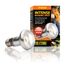 Exo Terra PT2136 Reptilien-Heizlampe 75 W 1 Stück(e), 2 image