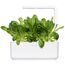 Click & Grow ROMAINE SALATPFLANZE HÜLSEN, 2 image