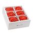 SLIM Patchcords KAT6A 10 Gigabit Lightpatchkabel, 2,0m, U/FTP, Ø 3,8mm, rot, 60-Pack, Farbe: Rot, Länge: 2 m, 3 image
