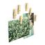 Trendform Magnete WOODY KLIP 6er Set holzfarben, 2 image