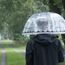 Esschert Design TP321 Regenschirm Schwarz, Mehrfarbig, Transparent Stahl Volle Größe, 6 image