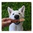 Whimzees WHZ341EU Hunde-/Katzenleckerli Hund Kauartikel Gemüse 360 g, 5 image