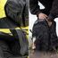 Dörr ProTac Rucksack Wanderrucksack Schwarz Polyester, 6 image