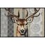 Salonloewe Woodland King, Farbe: Beige, Braun, Grau