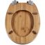 Diaqua 32137597 Toilettensitz Harter Toilettensitz MDF-Platten, Metall, Kunststoff Braun