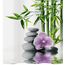 Diaqua Spa Duschvorhang Ring Polypropylen (PP), Kunststoff, Polyester Mehrfarbig