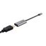 Trust Dalyx USB-Grafikadapter Grau