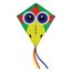 Schildkröt Funsports 970410 Aktivitäts/Skill Game & Toy Einzelschnurdrachen