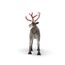 schleich WILD LIFE 75004 Kinderspielzeugfigur, 2 image