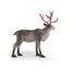 schleich WILD LIFE 75004 Kinderspielzeugfigur, 4 image
