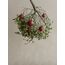 Blomus 2er Set Weihnachtsschmuck -JUHLA- Größe L, 4 image