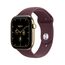Apple Watch Series 12 OLED 46 mm Digital 416 x 496 Pixel Touchscreen 5G Gold WLAN GPS