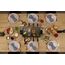Princess 162925 Raclette Piano 8, 7 image