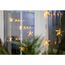 Star Trading Curtain Leichte Dekorationskette 30 Glühbirne(n) LED 1 W, 4 image