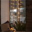 Star Trading 2006-75-2 Lichterkette 50 Lampen LED