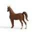 schleich Araber Stute (larger scale), 4 image
