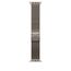 Apple 49 mm Milanaise Armband Titan Natur – S