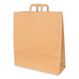 Elco 7010106.25 Papiertüte Natürlich/Natur 10 kg, Farbe: Natürlich/Natur