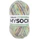 myBoshi W73303 Garn, Farbe: Klee, Länge: 420 m